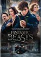 Fantastic Beasts and Where to Find Them on DVD