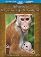 Monkey Kingdom on DVD