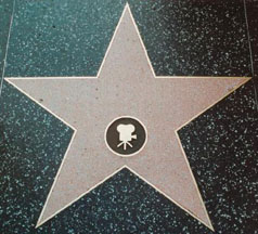 Hollywood Star on Hollywood Star Jpg