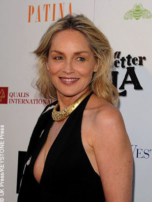 Celebrities Gossips on Sharon Stone Sued For Racist Remarks   Celebrity Gossip