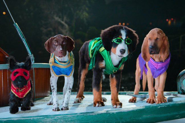 watch-air-bud-superpup-z-2022