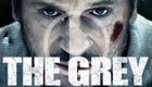 The Grey