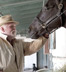 Third horse dies filming Dustin Hoffman TV series