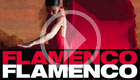 Flamenco, Flamenco
