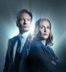 Gillian Anderson offered less money than David Duchovny for X-Files return