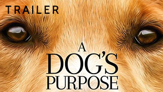 A Dog's Purpose Trailer