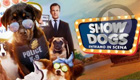 Show Dogs