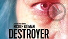 Destroyer