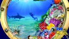 Wonders of the Sea 3D