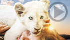 Mia and the White Lion