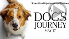 A Dog's Journey