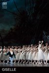 Bolshoi Ballet: Giselle