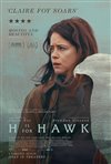 H is for Hawk