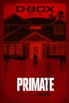 Primate