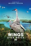 Wings Over Water 3D
