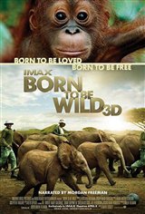 Born to Be Wild 3D