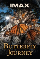 Butterfly Journey