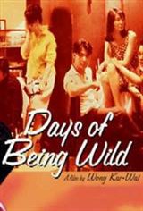 Days of Being Wild