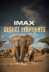 Desert Elephants
