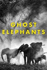 Ghost Elephants