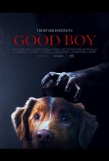 Good Boy