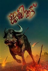 Jallikattu