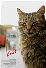 Kedi : Au royaume des chats (v.o.s.-t.f.)