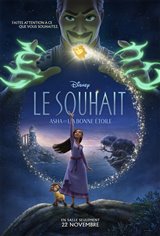 Le souhait : Asha et la bonne toile