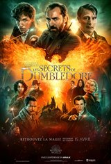 Les animaux fantastiques : Les secrets de Dumbledore