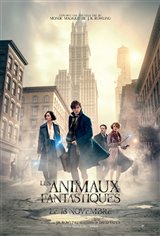 Les animaux fantastiques : L'expérience IMAX