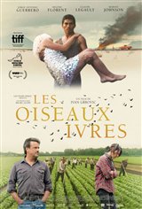 Les oiseaux ivres