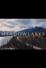 Meadowlarks