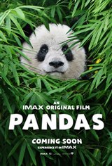 Pandas: An IMAX 3D Experience