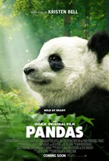 Pandas : L'exprience IMAX