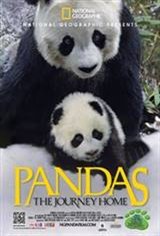 Pandas: The Journey Home 3D