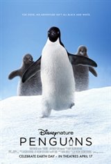 Penguins: The IMAX Experience