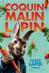 Pierre Lapin