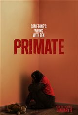 Primate
