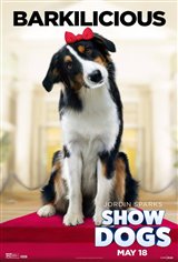 Show Dogs