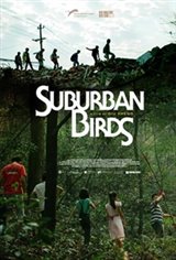 Suburban Birds
