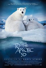 To the Arctic 3D