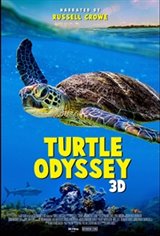 Turtle Odyssey 3D
