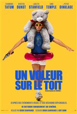 Un voleur sur le toit