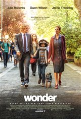 Wonder