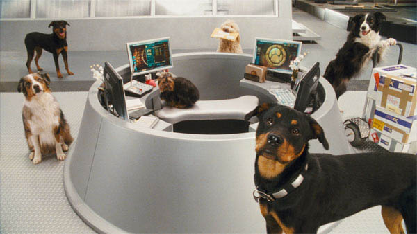 Cats And Dogs Revenge Of Kitty Galore Wiki Cats And Dogs Revenge Of Kitty Galore Wiki