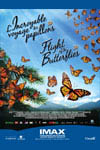 Flight of the Butterflies
