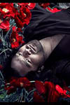 The Metropolitan Opera: Prince Igor