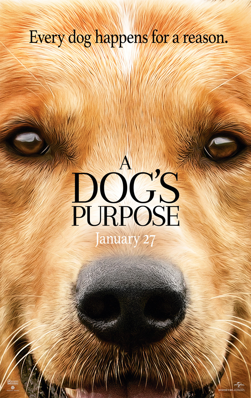 a s purpose trailer a s purpose and trailers tribute ca a s purpose trailer a s purpose and trailers tribute ca