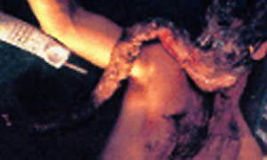 species 2 movie species 2 movie