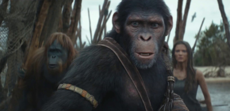 KINGDOM OF THE PLANET OF THE APES